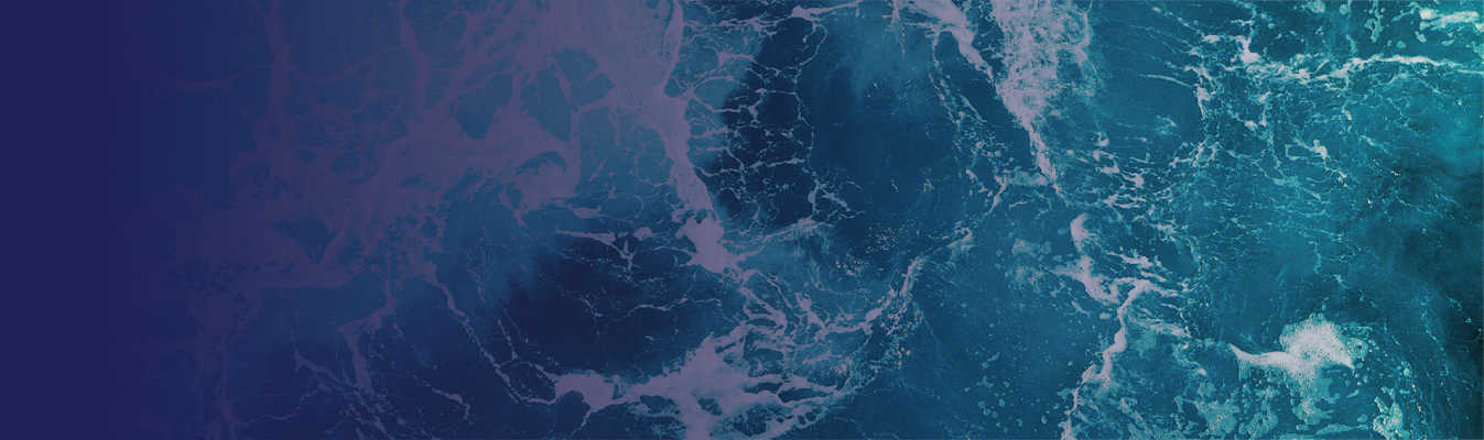 World maritime day 2024 banner