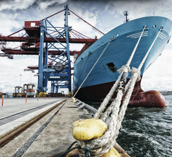Sector Ports and Terminals