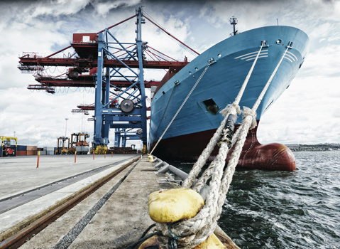 Sector Ports and Terminals